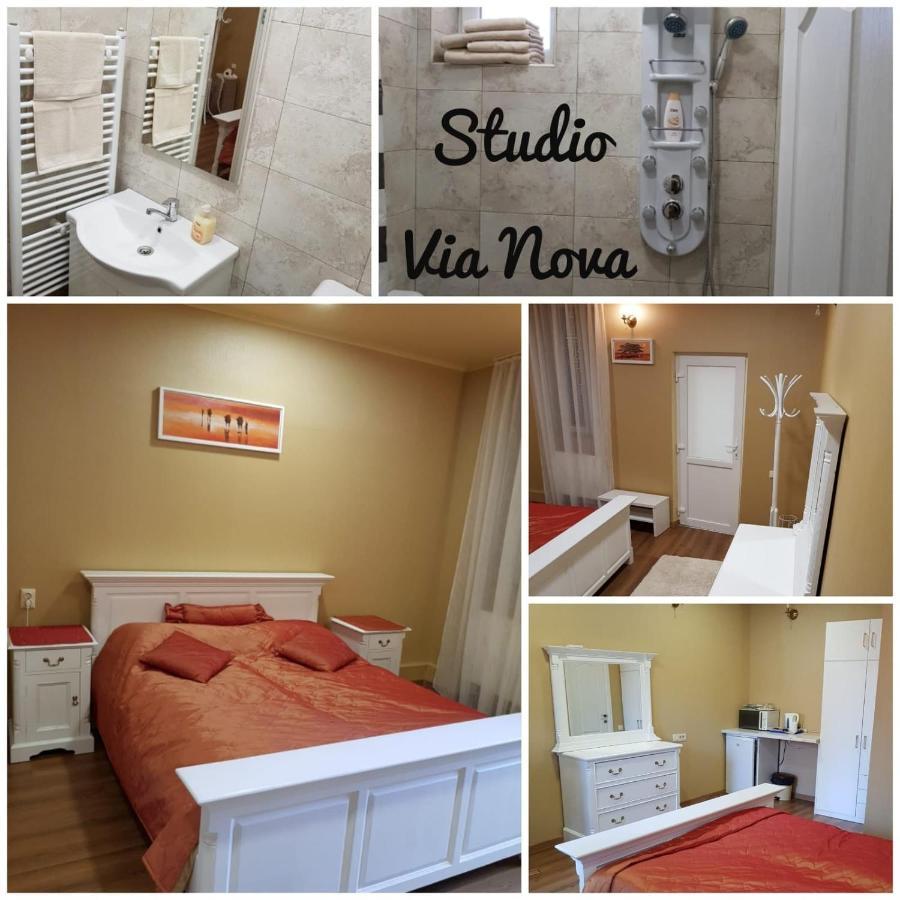 Studio Via Nova Клуж-Напока Екстериор снимка